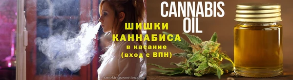 молекула духа Вязьма