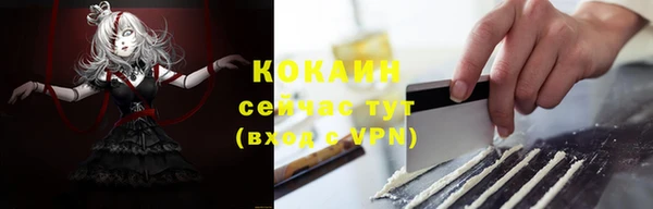 тгк Вяземский