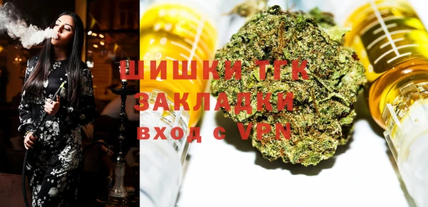тгк Вяземский