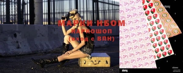 молекула духа Вязьма
