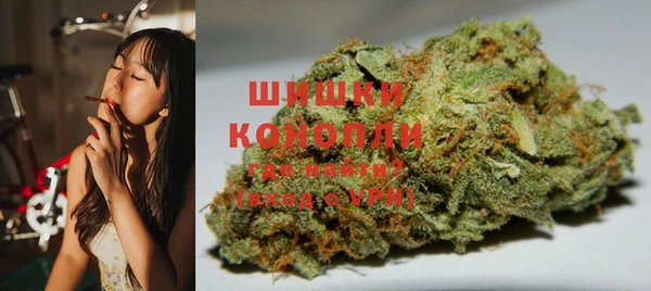 молекула духа Вязьма