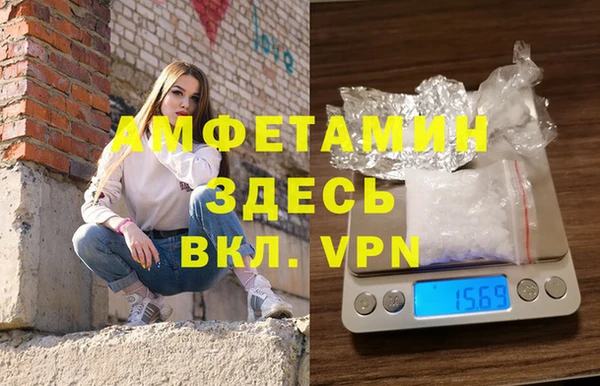 молекула духа Вязьма