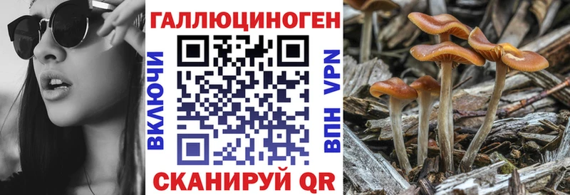 Галлюциногенные грибы мицелий  ОМГ ОМГ сайт  Донецк 